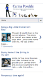 Mobile Screenshot of carmapoodale.com